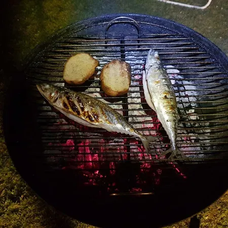 فيلة Dalyan Çeşme
